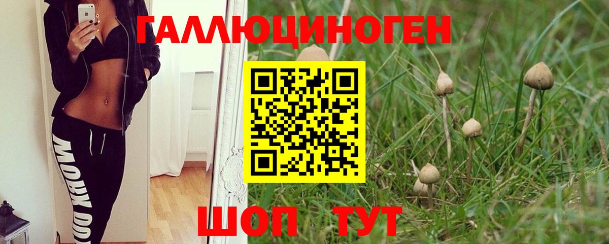 Псилоцибиновые грибы прущие грибы  Вход с VPN  Южно-Сахалинск 